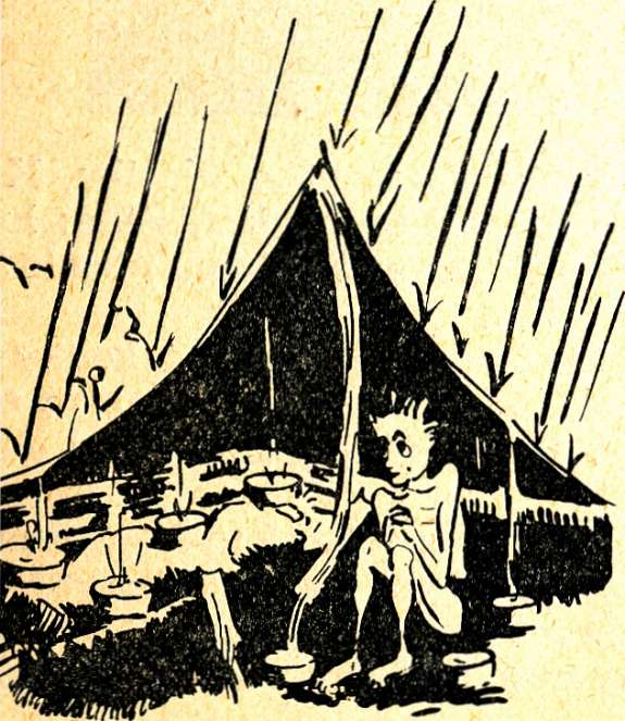 Skautský vůdce str. 60.PNG