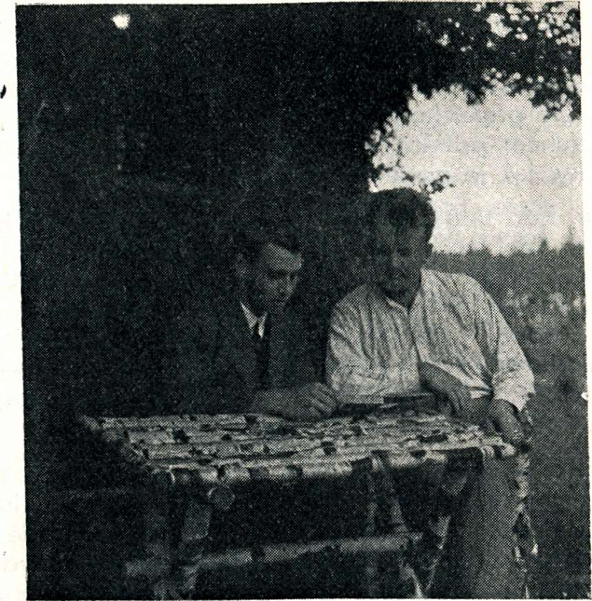 Prakticka maturita chata.PNG