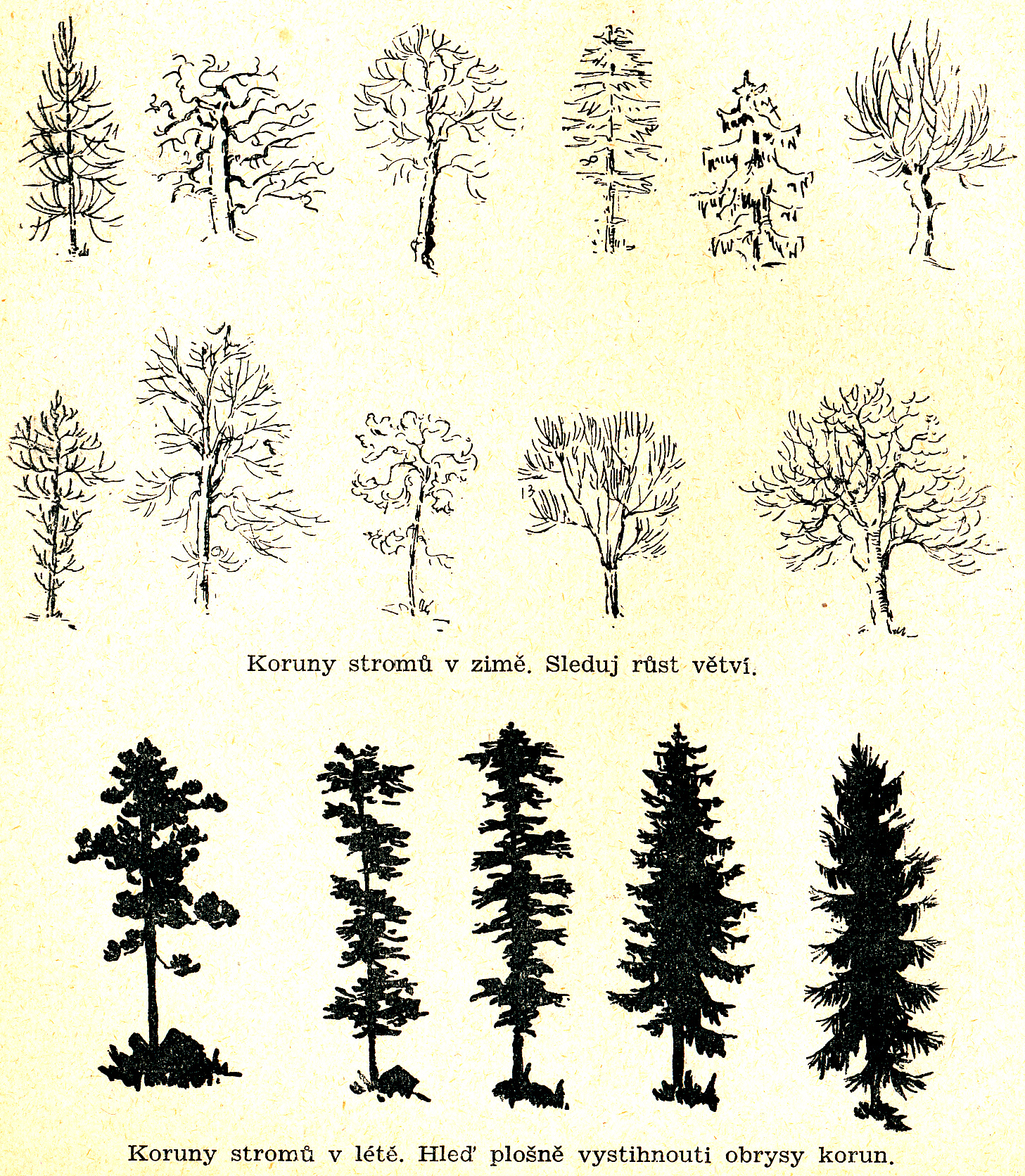 Skautský vůdce str. 122.PNG