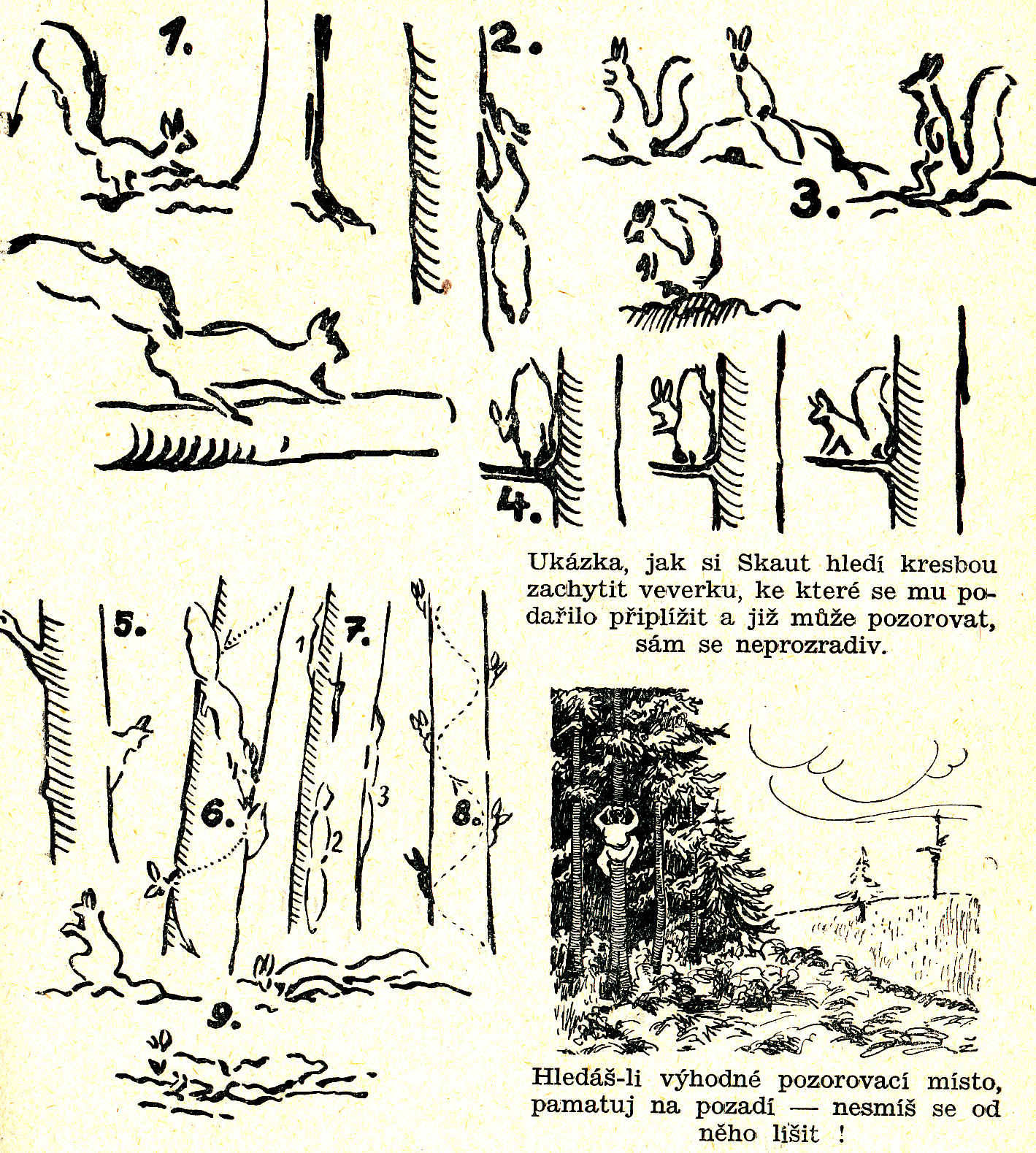 Skautský vůdce str. 115.PNG